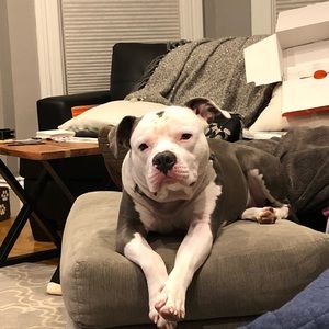 Meet your Posher, Kristen